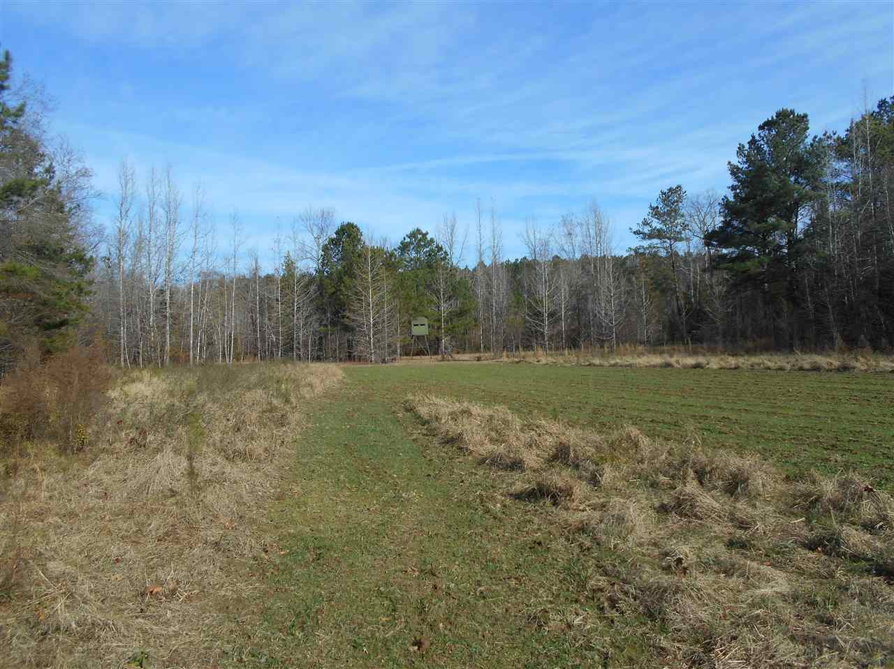 40 Dorman Road Vaiden, MS 39176 - Photo 9 of 50 Photo 9