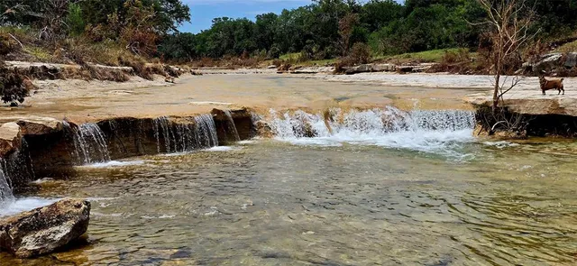 a view of a yard with wooden fence