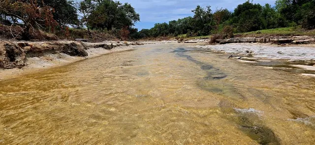 a view of outdoor space and a forest