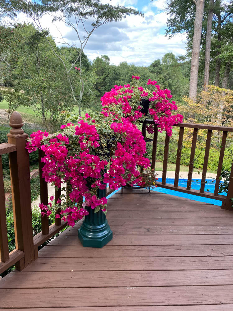 313 Live Oak Road Aiken, SC 29803 - Photo 30 of 41 65-IMG_1008