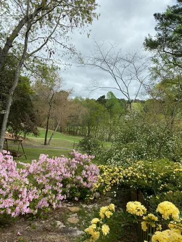 $875,000 | 313 Live Oak Road, Aiken, SC 29803