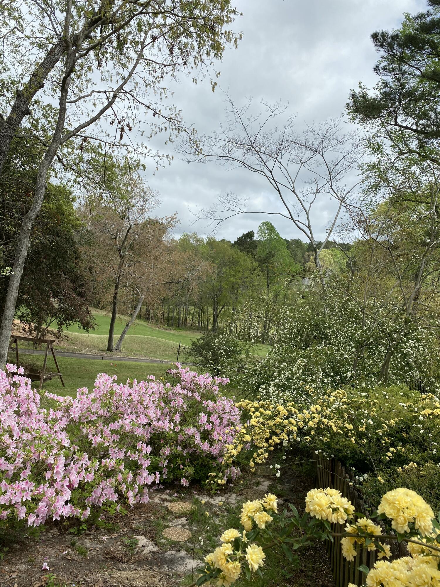 313 Live Oak Road Aiken, SC 29803 - Photo 31 of 41 IMG_5513