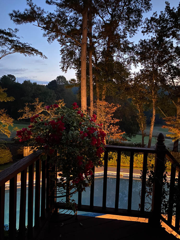 313 Live Oak Road Aiken, SC 29803 - Photo 32 of 41 Sunset