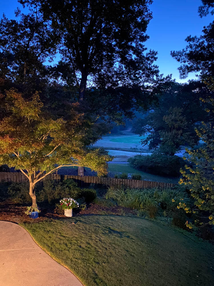 313 Live Oak Road Aiken, SC 29803 - Photo 33 of 41 Sunset