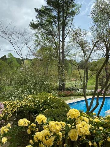 $875,000 | 313 Live Oak Road, Aiken, SC 29803