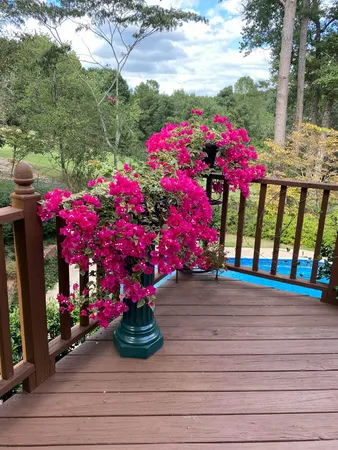 $875,000 | 313 Live Oak Road, Aiken, SC 29803