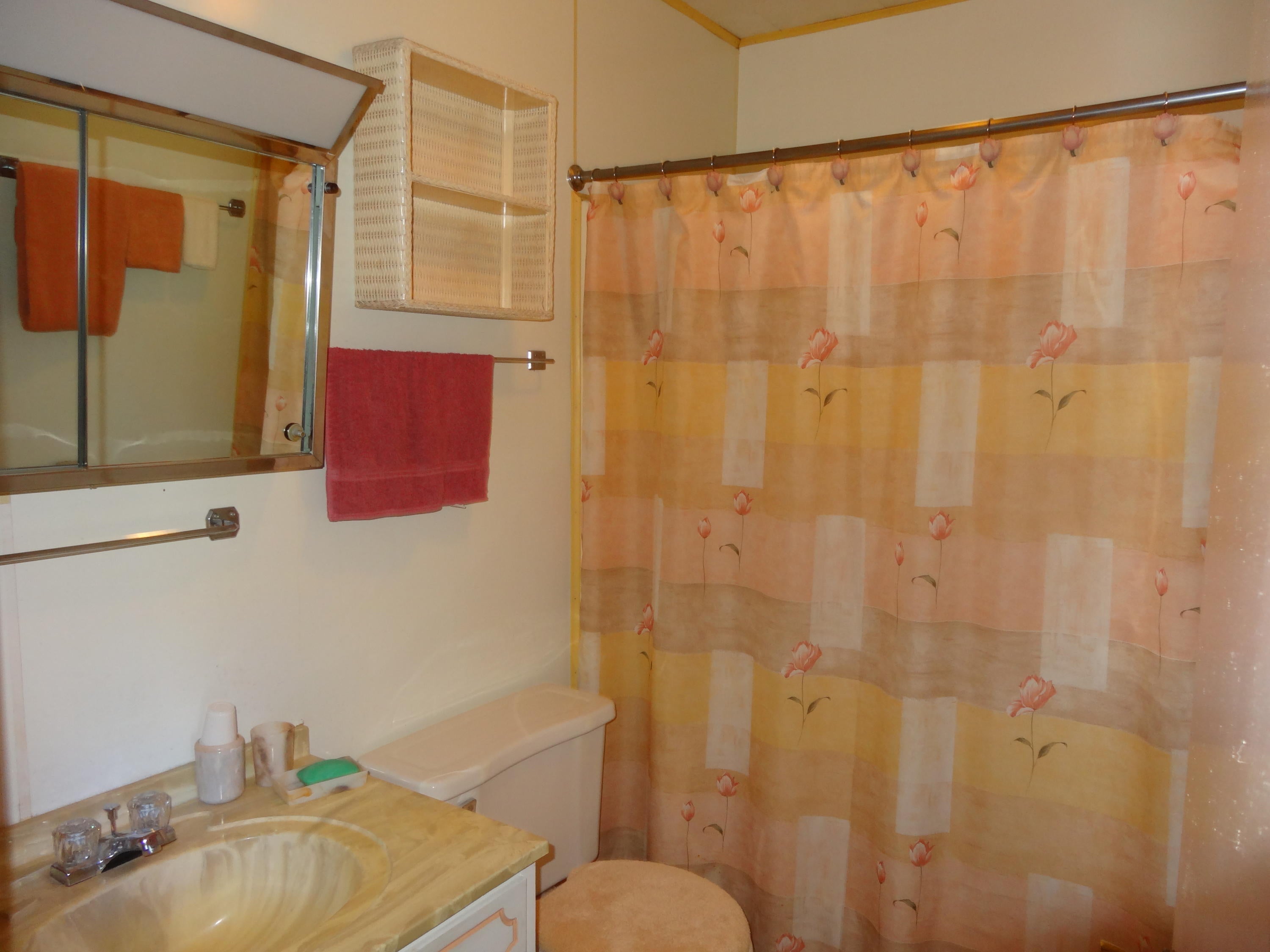 664 Ford Knob Road Meadow Bridge, WV 25976 - Photo 5 of 64 Gallery Image 5