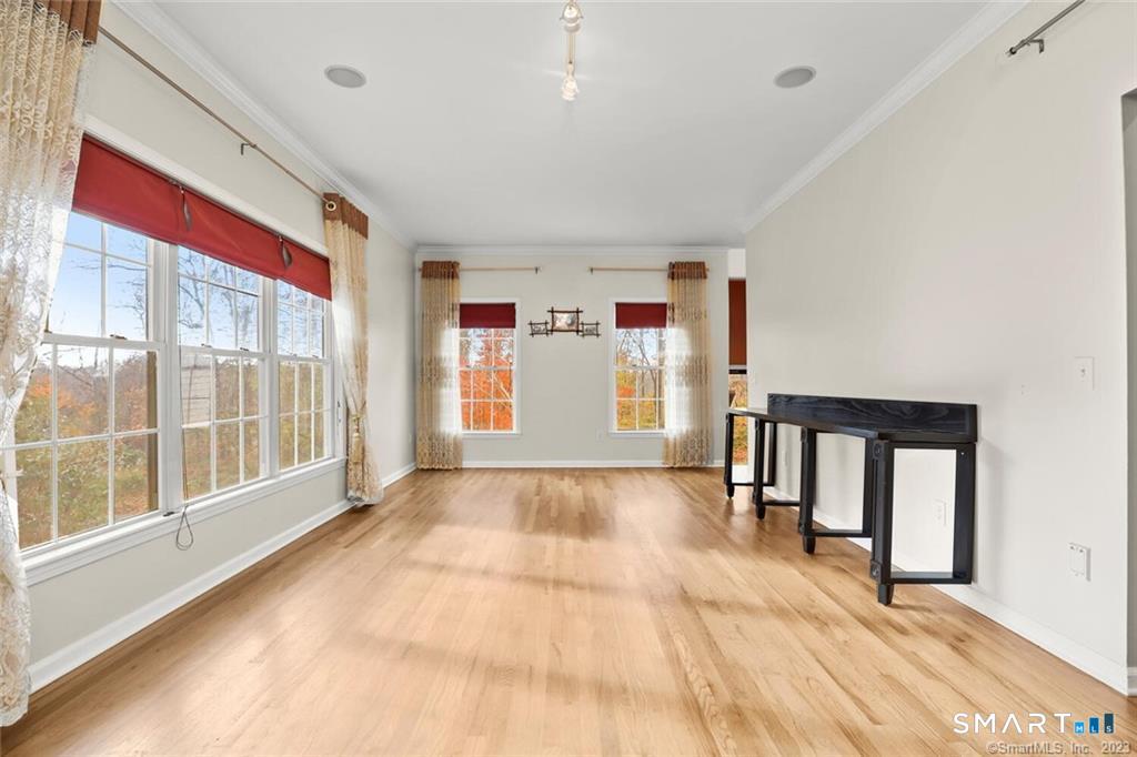 22 Apollo Road Bethel, CT 06801 - Photo 5 of 25 Dining room, main level