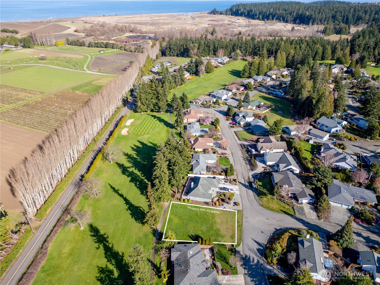 9999 Hurricane Ridge Drive Sequim, WA 98382 - Photo 1 of 12 a view of a city