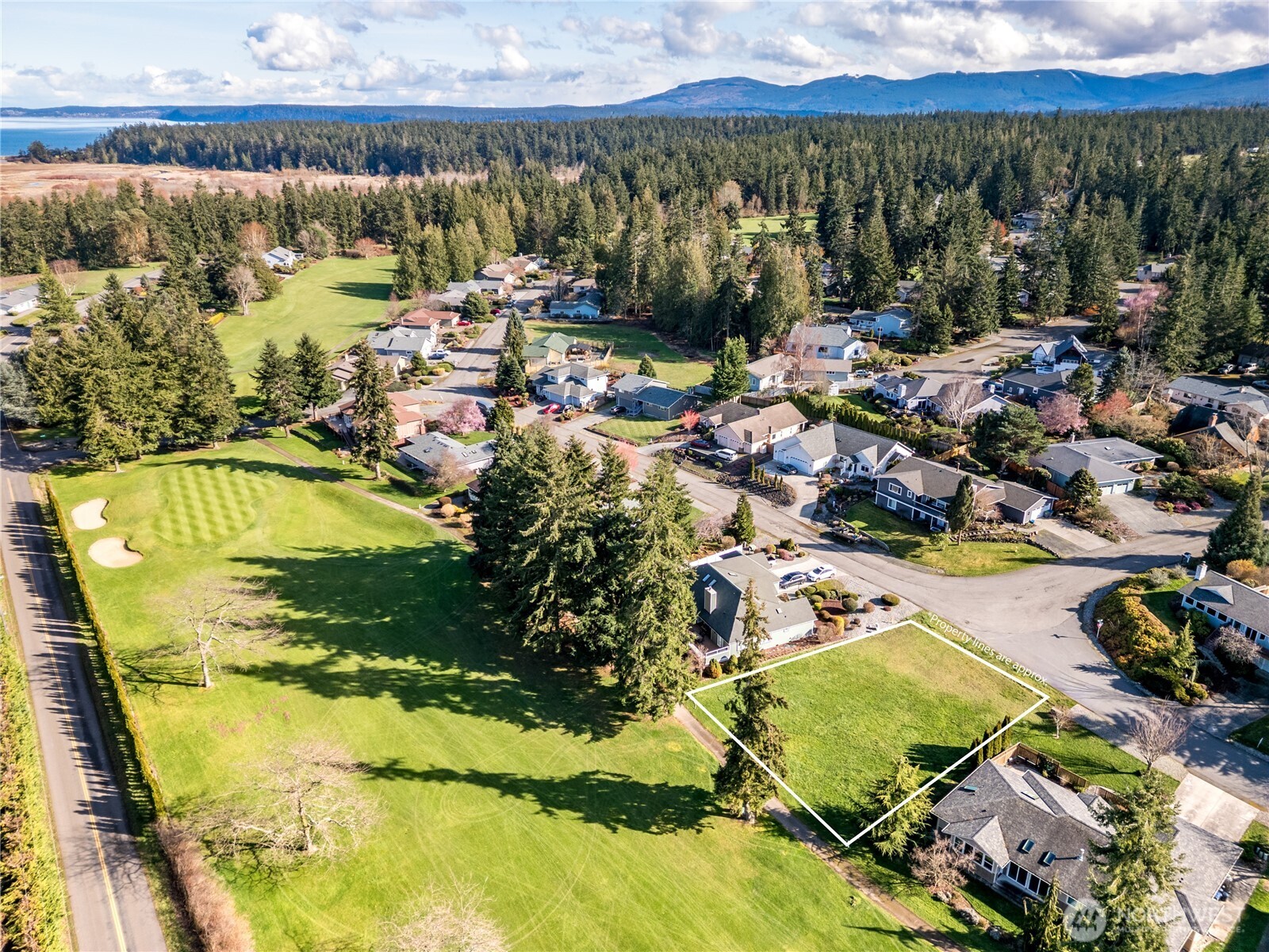 9999 Hurricane Ridge Drive Sequim, WA 98382 - Photo 3 of 12 a view of a swimming pool and lake view