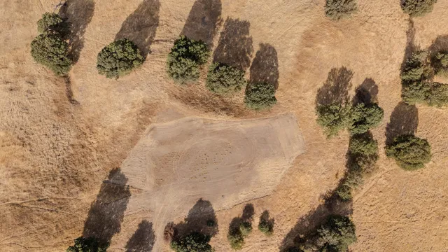 a view of a dry yard with wooden fence