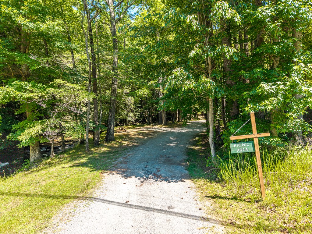 775 Mountain Oak Road Ellijay, GA 30536 - Photo 103 of 106 Amenities