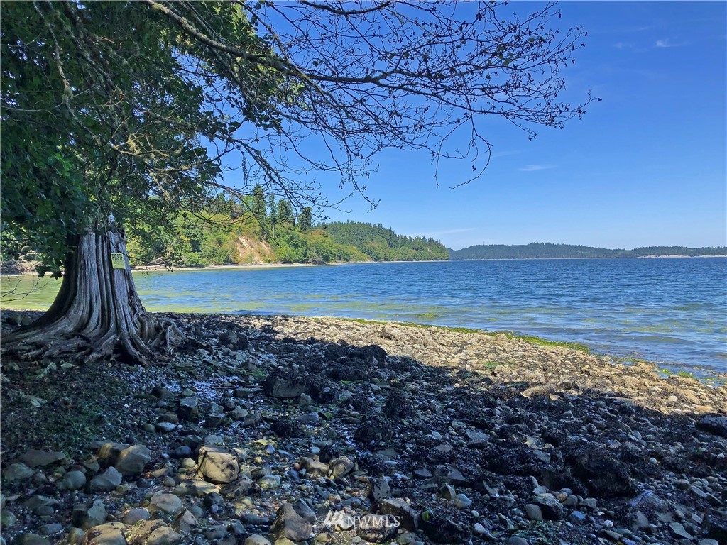 210 Burns Road Port Hadlock, WA 98339 - Photo 1 of 22 Gallery Image 1