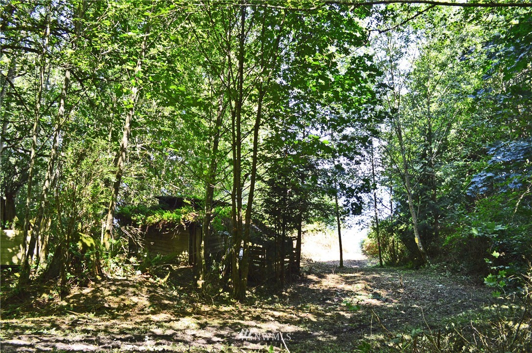 210 Burns Road Port Hadlock, WA 98339 - Photo 6 of 22 Gallery Image 6