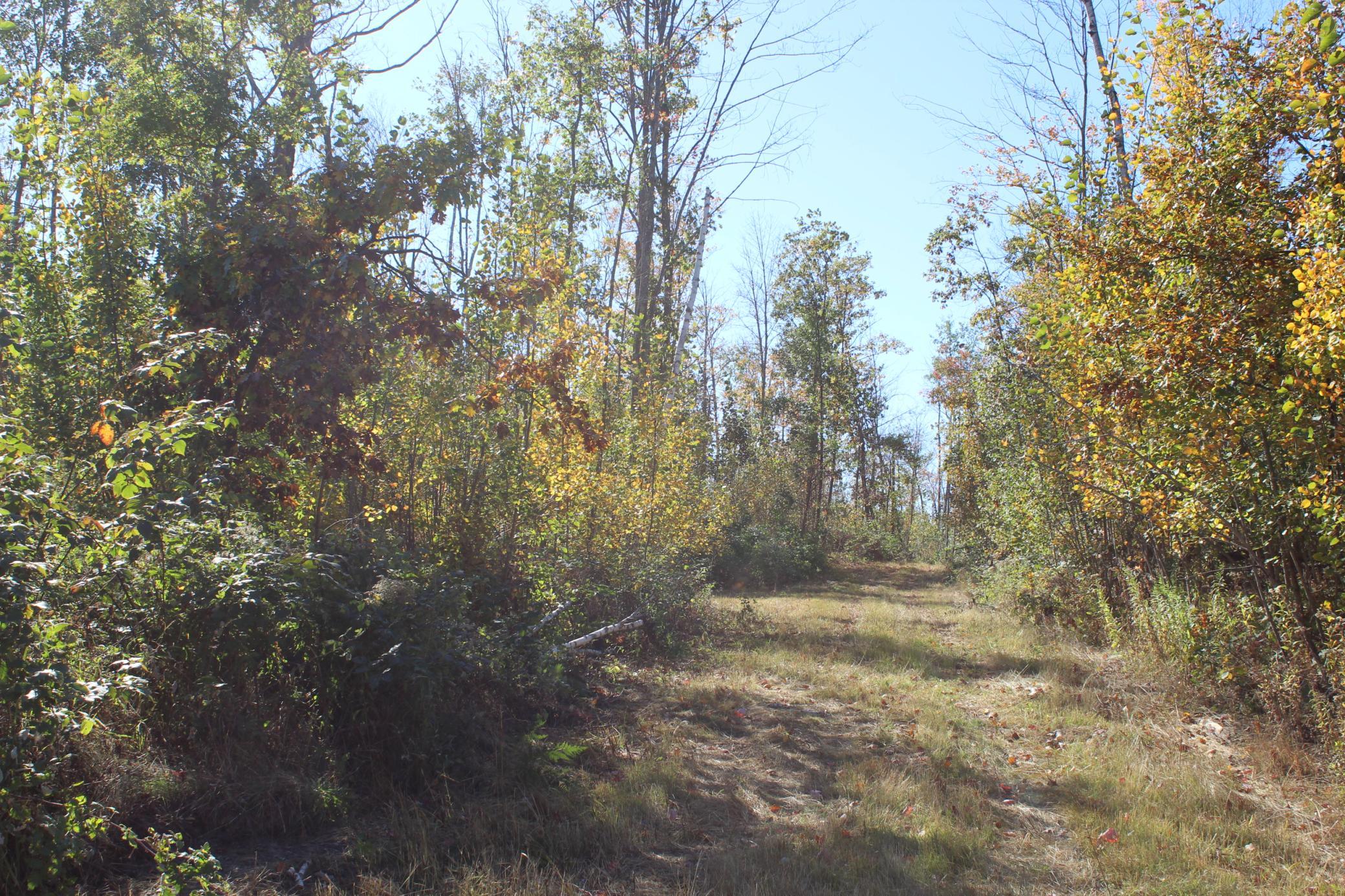 Tbd Woods Road Isle, MN 56342 - Photo 22 of 31 Gallery Image 22