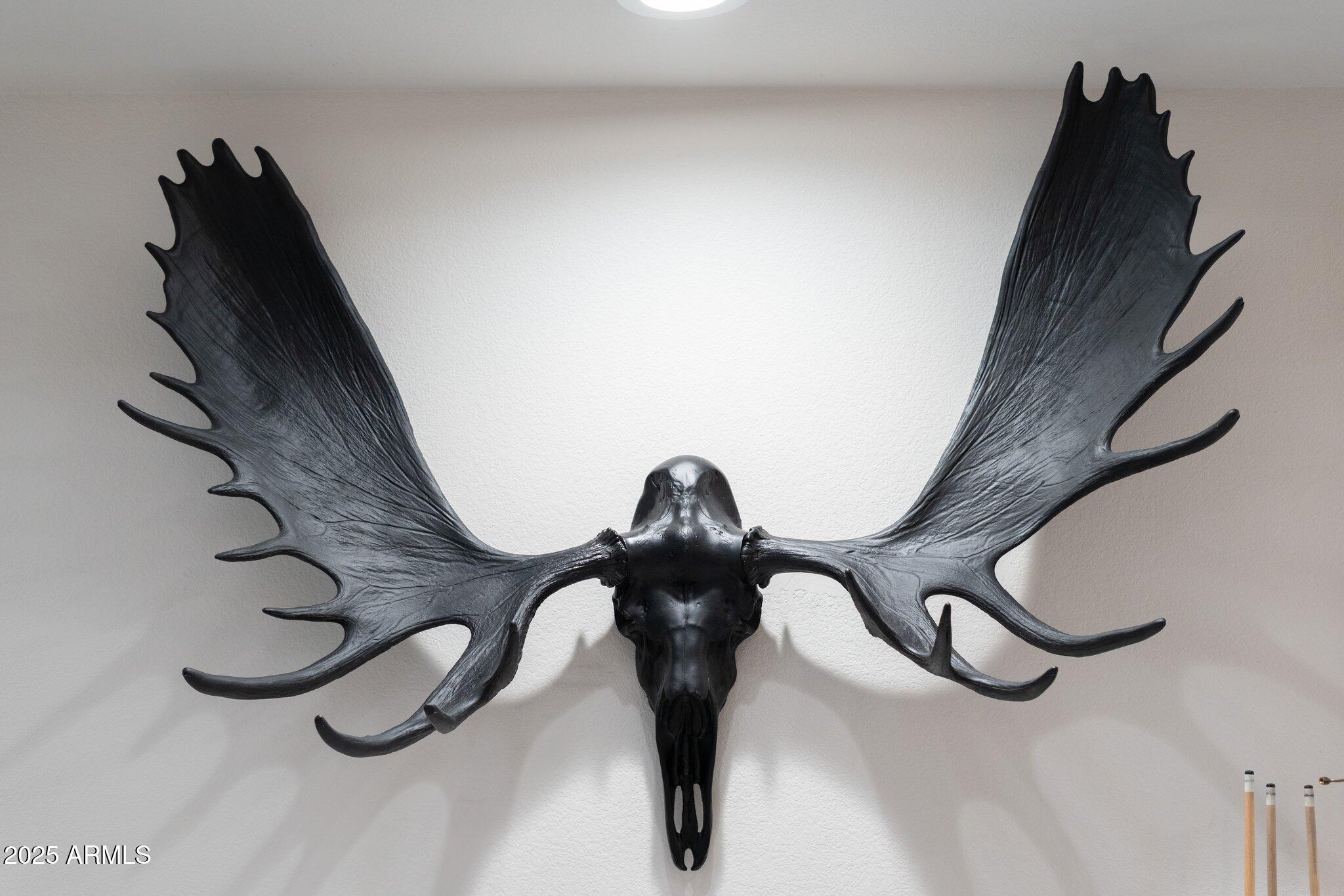 9341 East Pershing Avenue Scottsdale, AZ 85260 - Photo 30 of 82 30-DSC01172