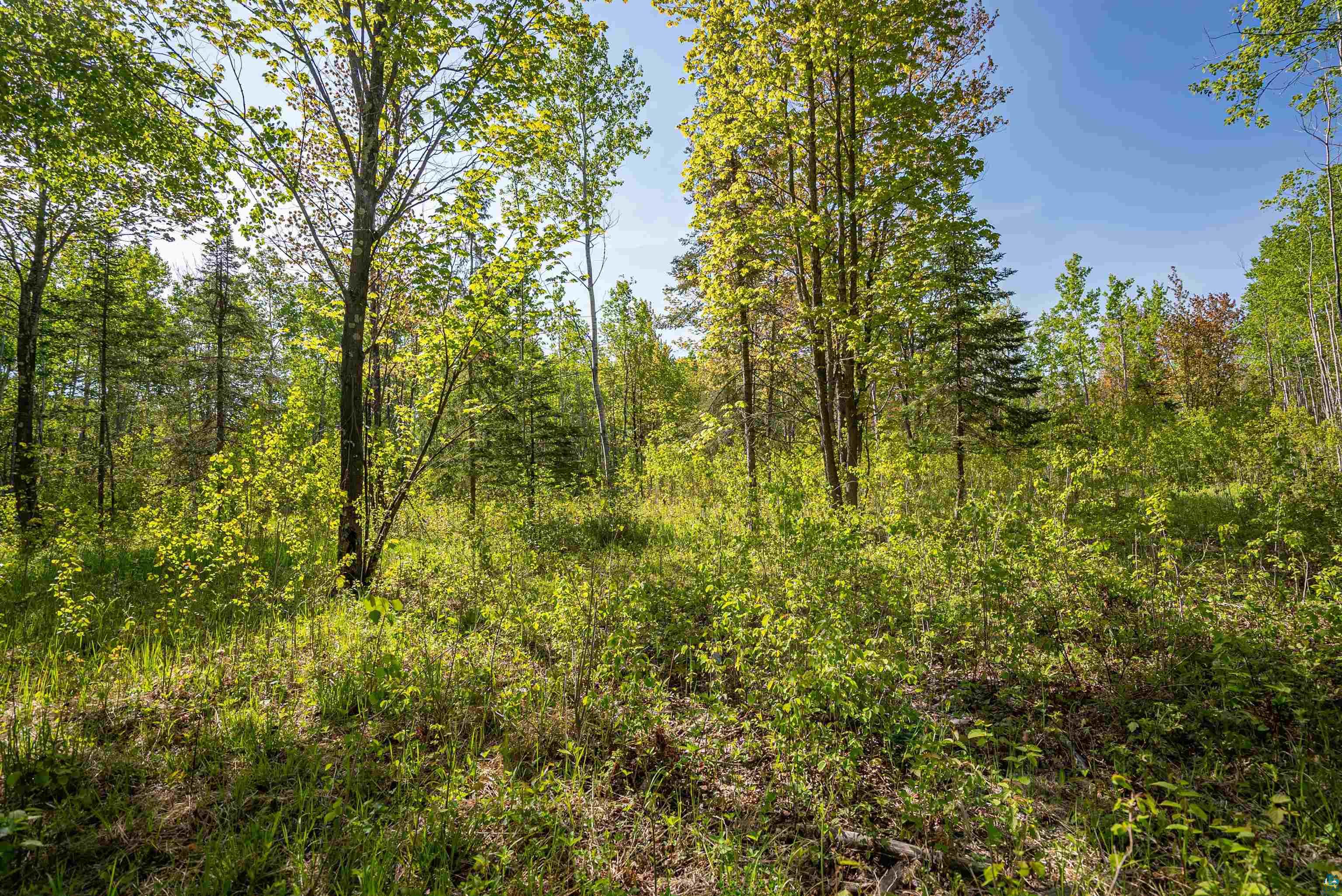 3679 22nd Road South Range, WI 54874 - Photo 39 of 48