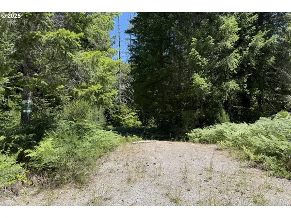 $49,000 | Lahar Lane, Unit 9, Cougar, WA 98616
