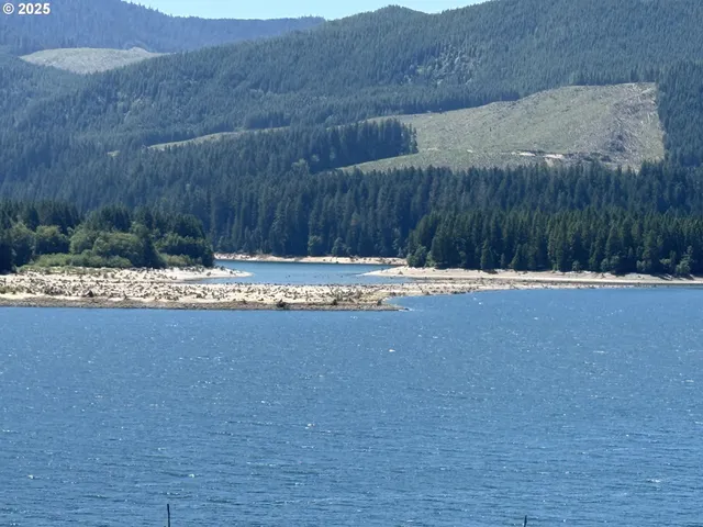 a view of a town with mountains in the background