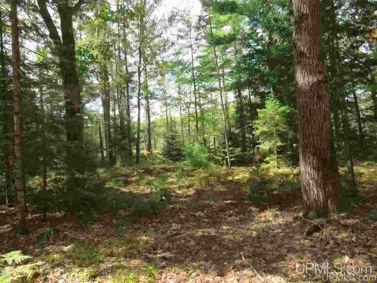 Tbd Off Lake On Three Road Trout Creek, MI 49967 - Photo 40 of 50