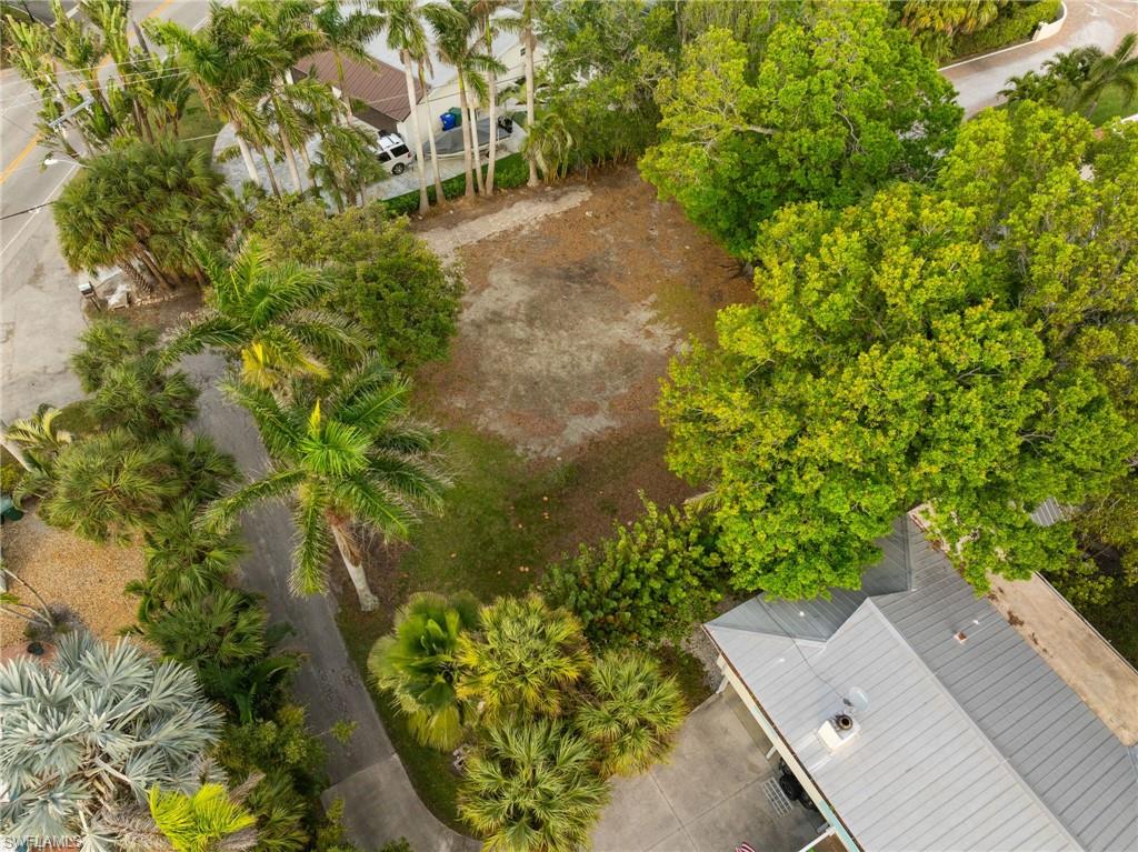 1205 Sandpiper Street Naples, FL 34102 - Photo 5 of 8 a picture of a yard