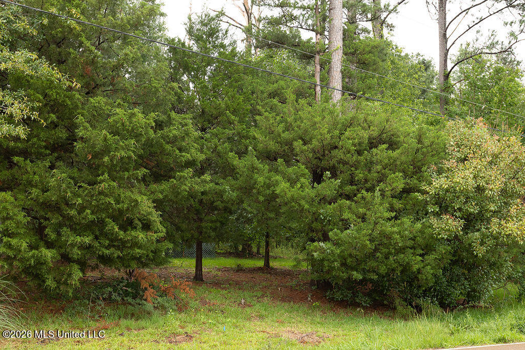 6450 Manship Road Brandon, MS 39047 - Photo 9 of 14 BH26_Manship_01--10