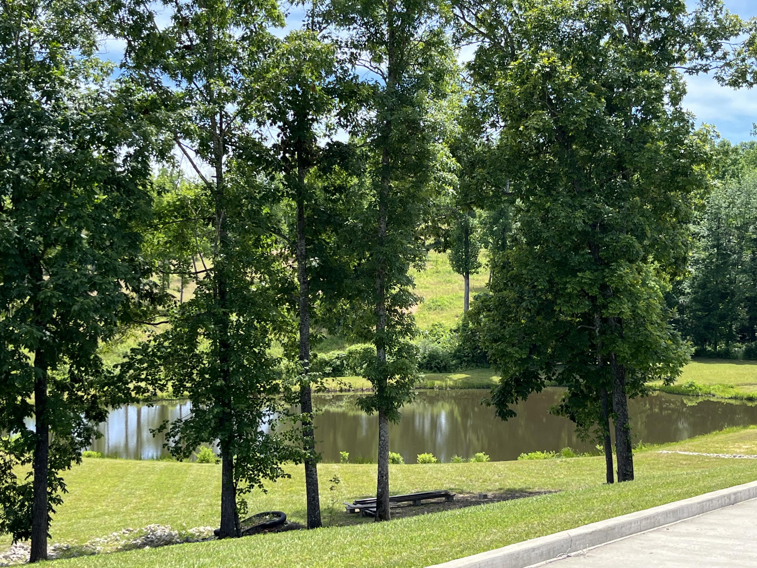 41 Twin Ponds Road Corbin, KY 40701 - Photo 5 of 25 IMG_1061