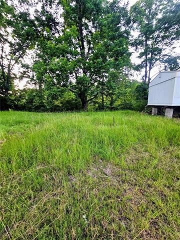 197 Pritchard Road Jonesville, LA 71343 - Photo 5 of 6