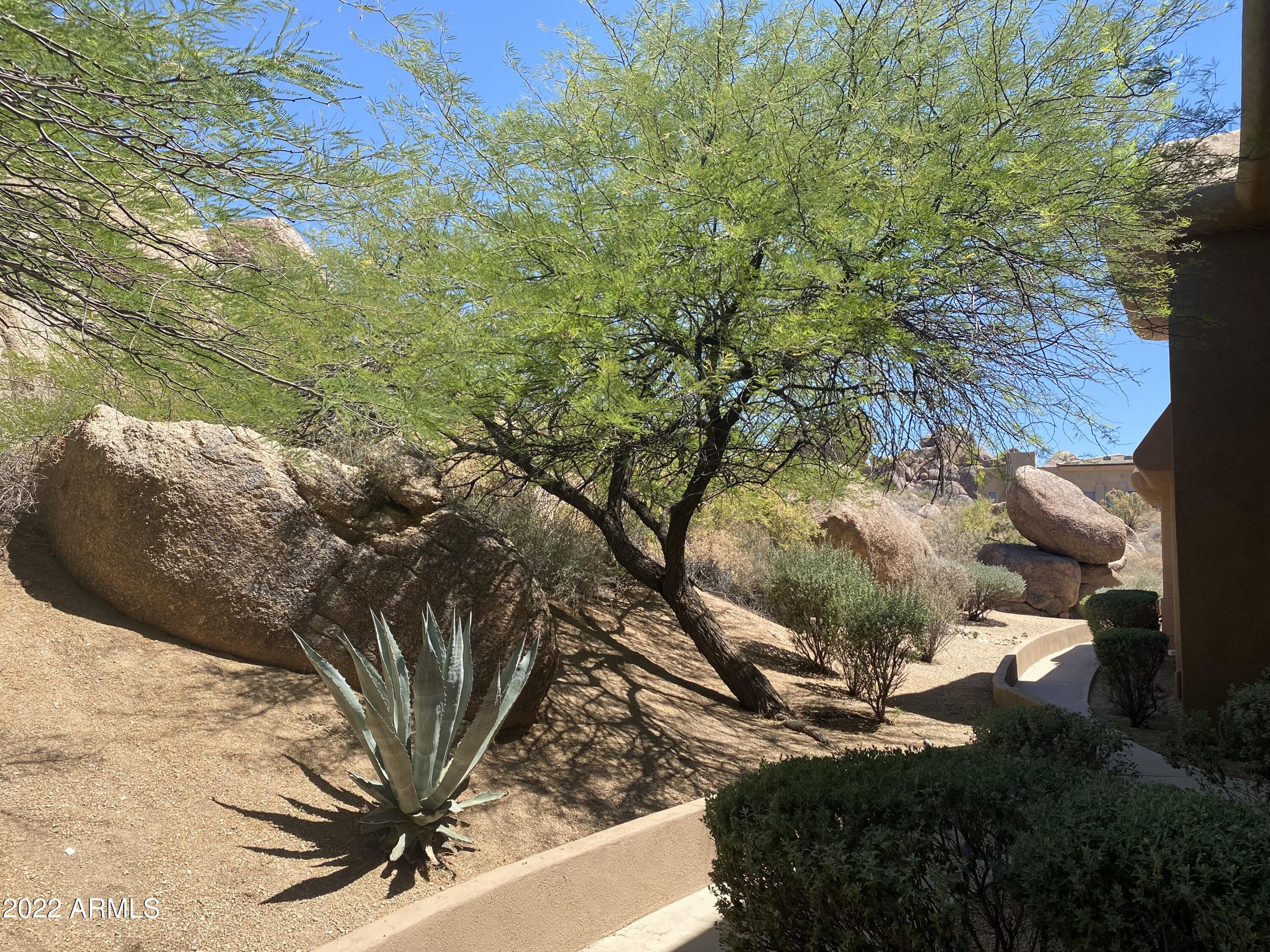 10222 East Southwind Lane, Unit 1009 Scottsdale, AZ 85262 - Photo 42 of 44 a view of a yard with plants and large trees