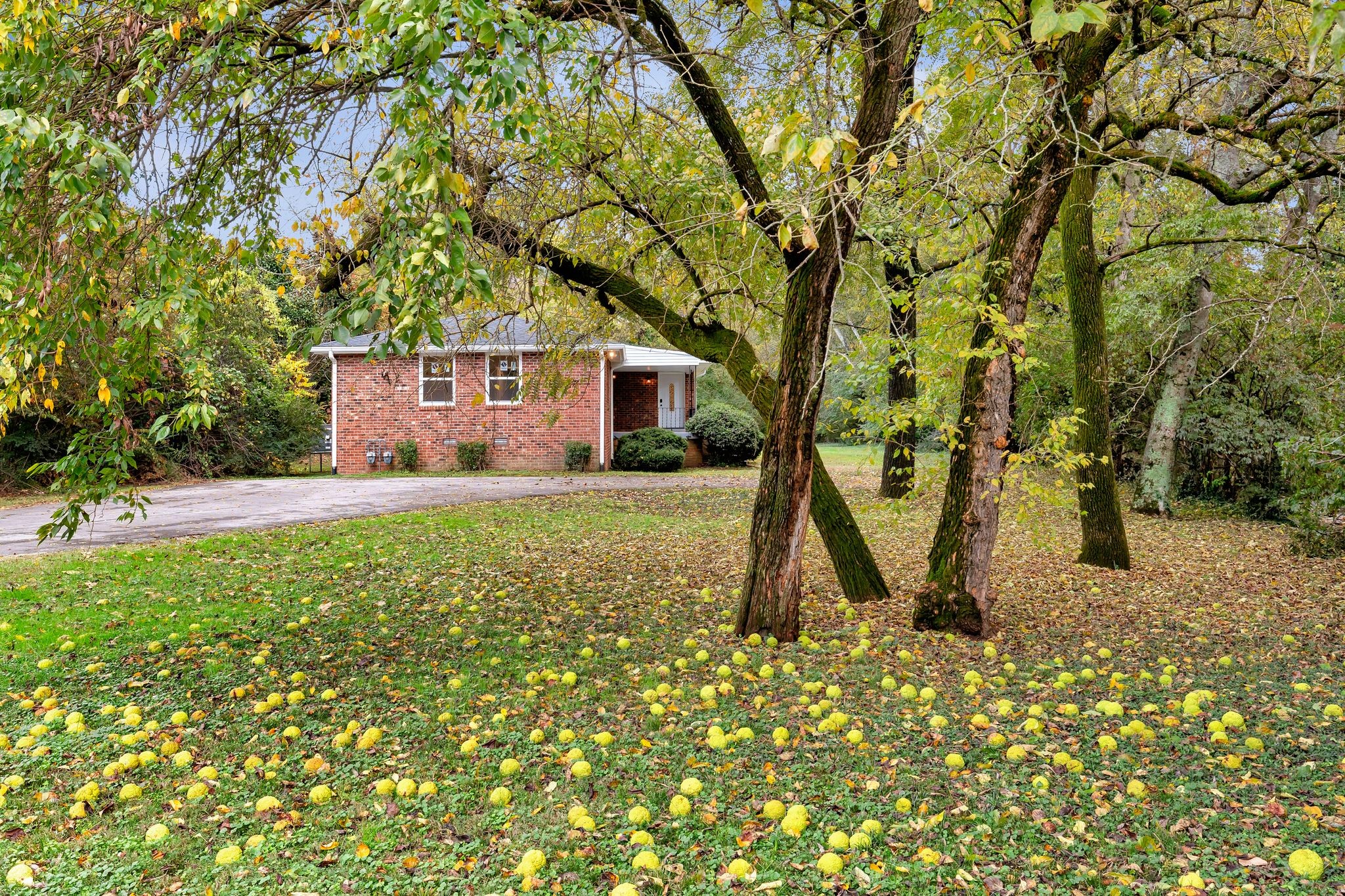 3638 Estes Road Nashville, TN 37215 - Photo 33 of 33