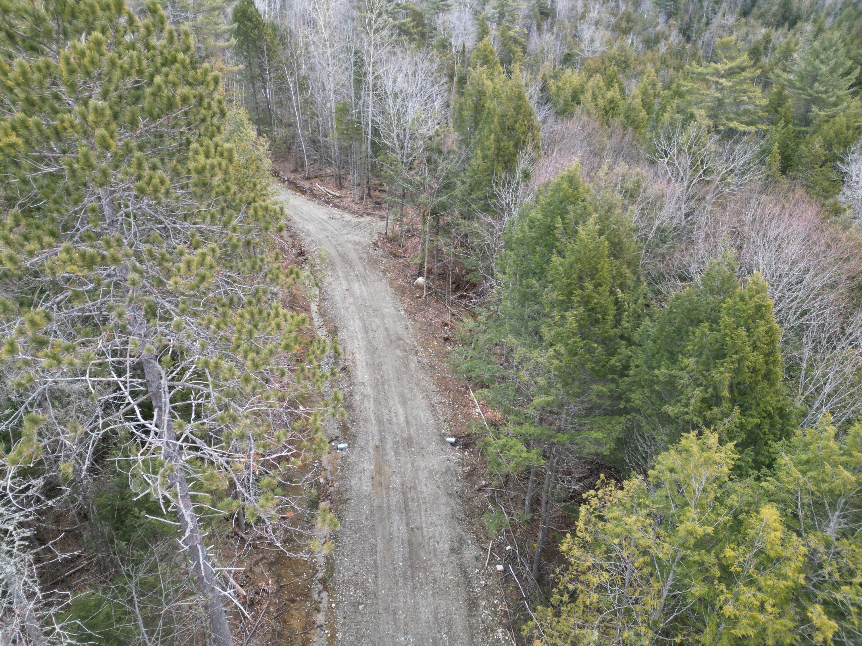 Lot 4 Bill Green Pond Road Lee, ME 04455 - Photo 6 of 16 DJI_0920