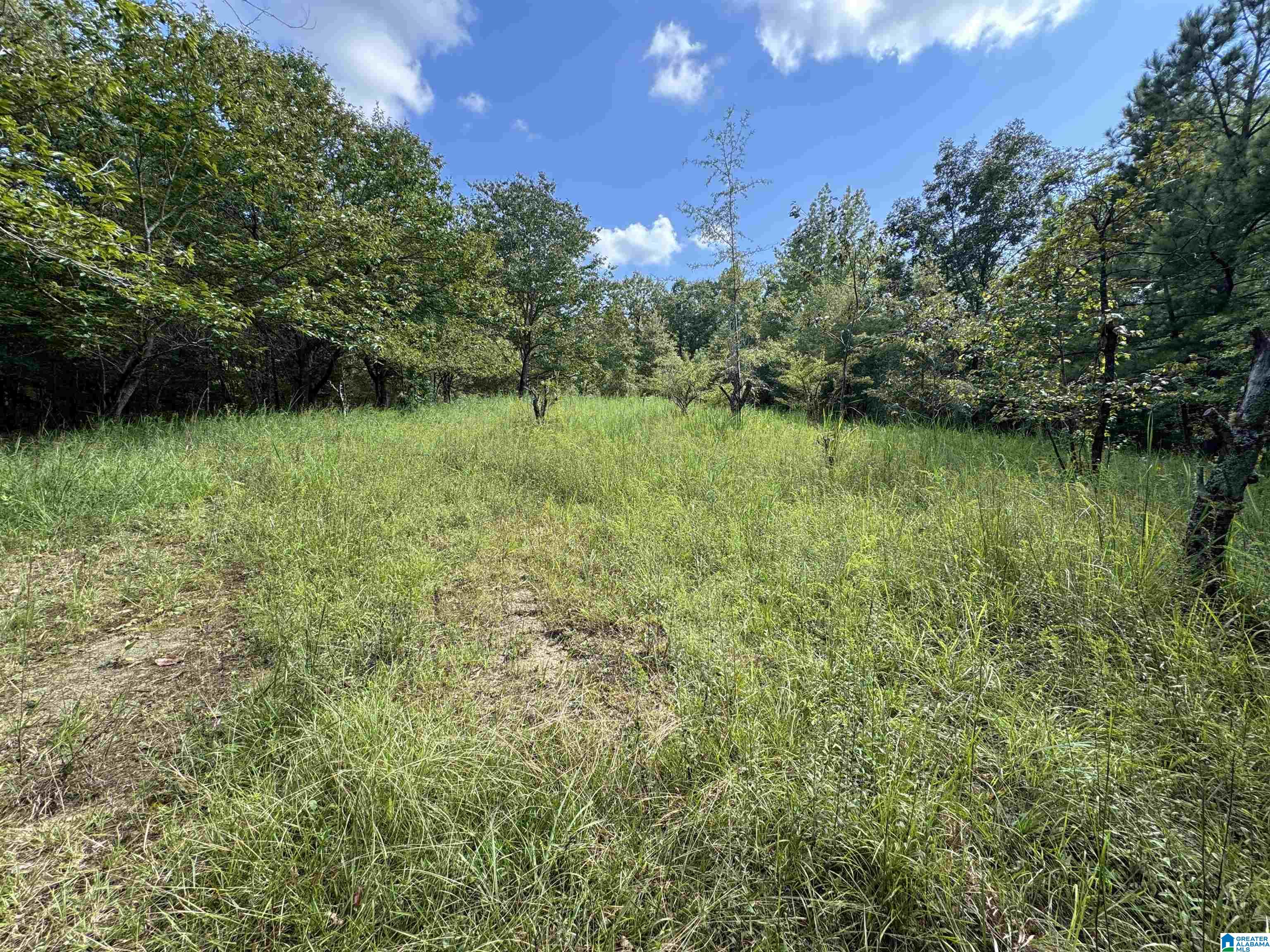 20394 County Road 55 Sterrett, AL 35147 - Photo 6 of 43