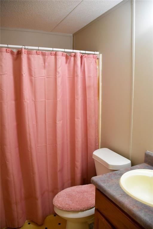 13396 Highway 53 Fairmount, GA 30139 - Photo 5 of 20 a bathroom with a toilet a sink and curtain