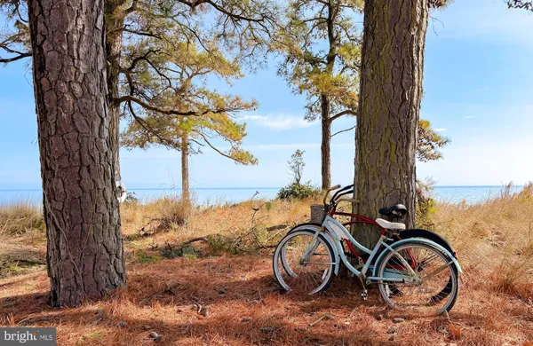 $630,000 | 15252 Lake Drive, Scotland, MD 20687