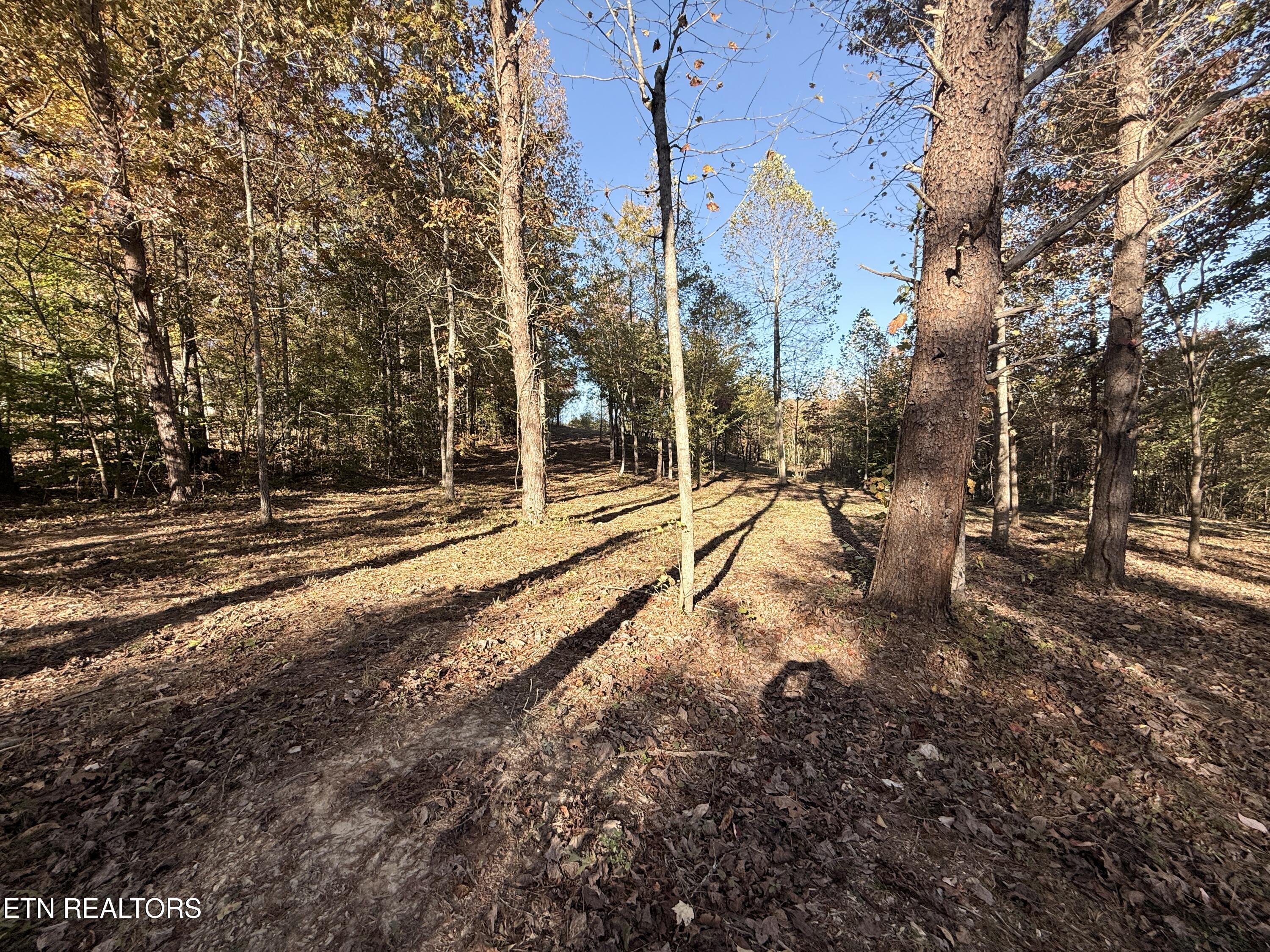 444 Roses Creek Road Clairfield, TN 37715 - Photo 27 of 48 Lower Property