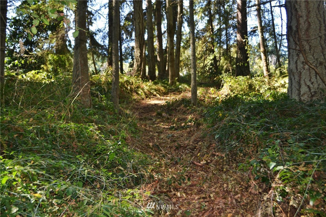 6860 Maxwelton Road Clinton, WA 98236 - Photo 24 of 25