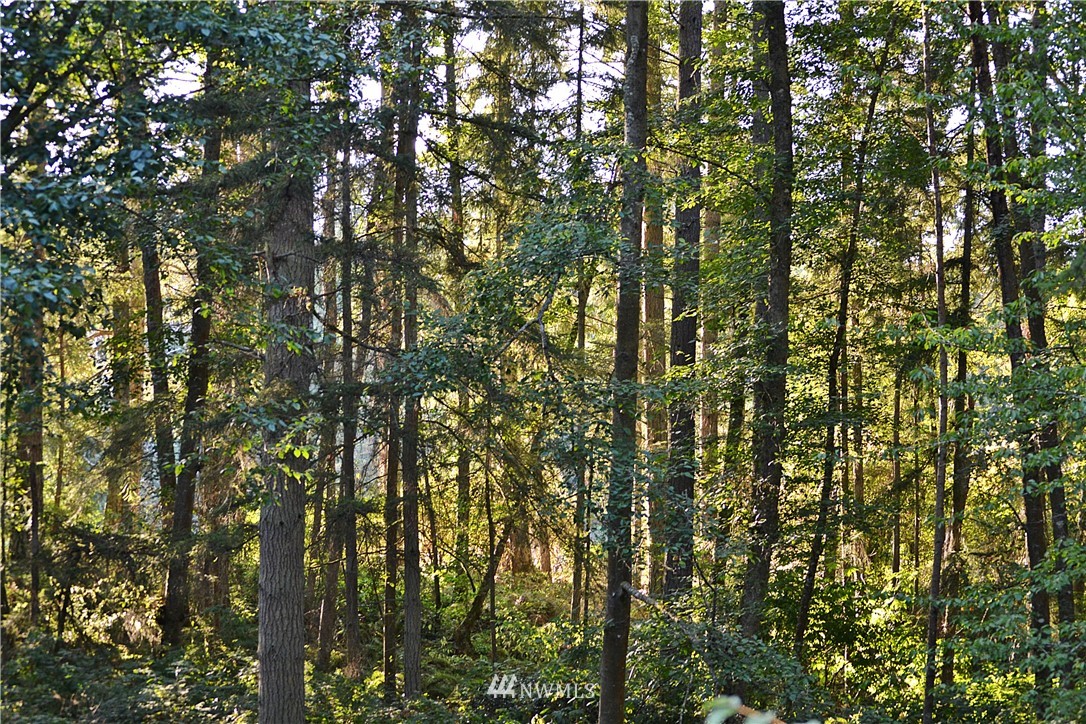 6860 Maxwelton Road Clinton, WA 98236 - Photo 25 of 25