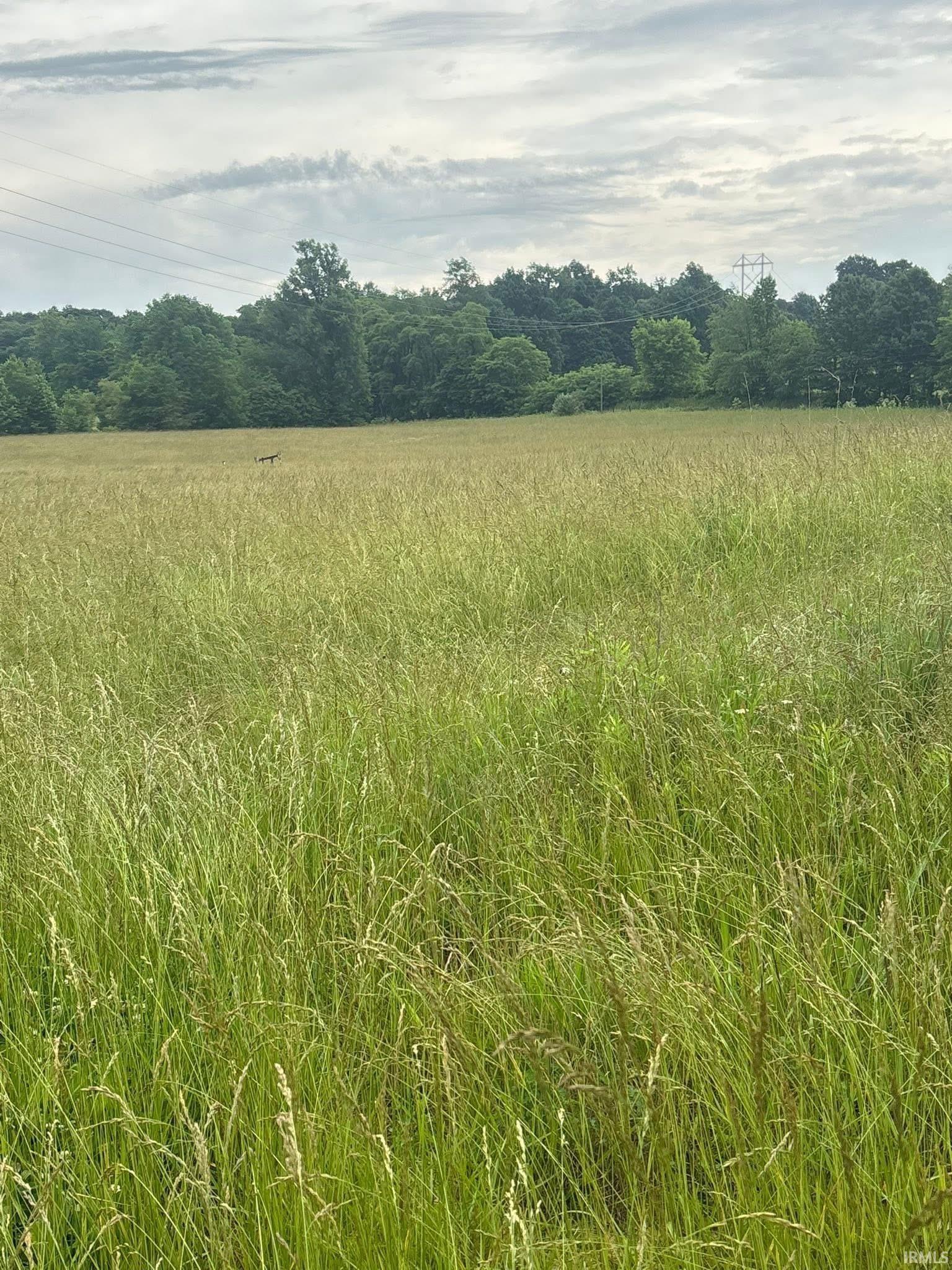 775 E Creek Evanston, IN 47531 - Photo 16 of 17