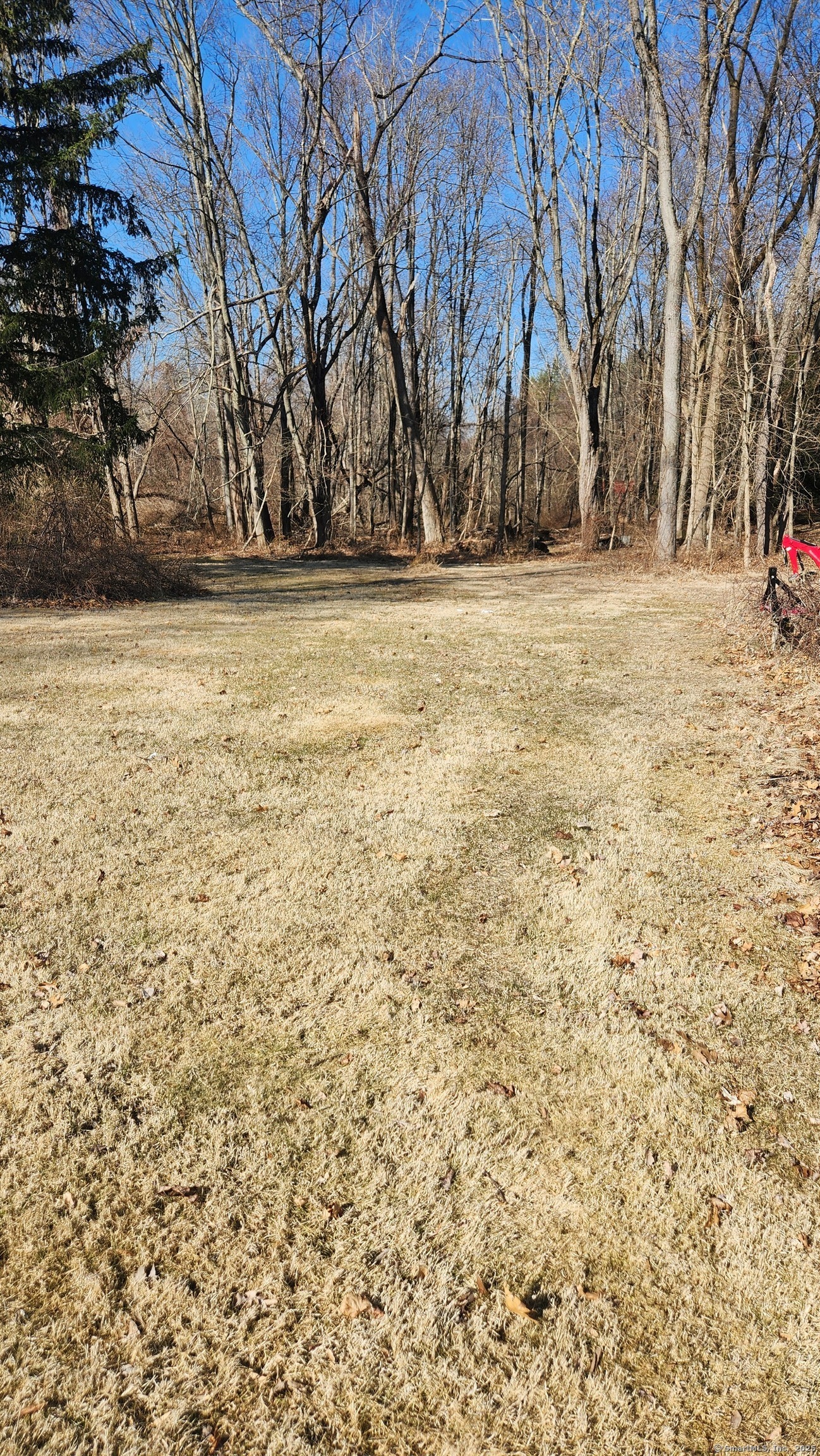 4 Rye Street East Windsor, CT 06016 - Photo 3 of 7 a view of outdoor space with trees