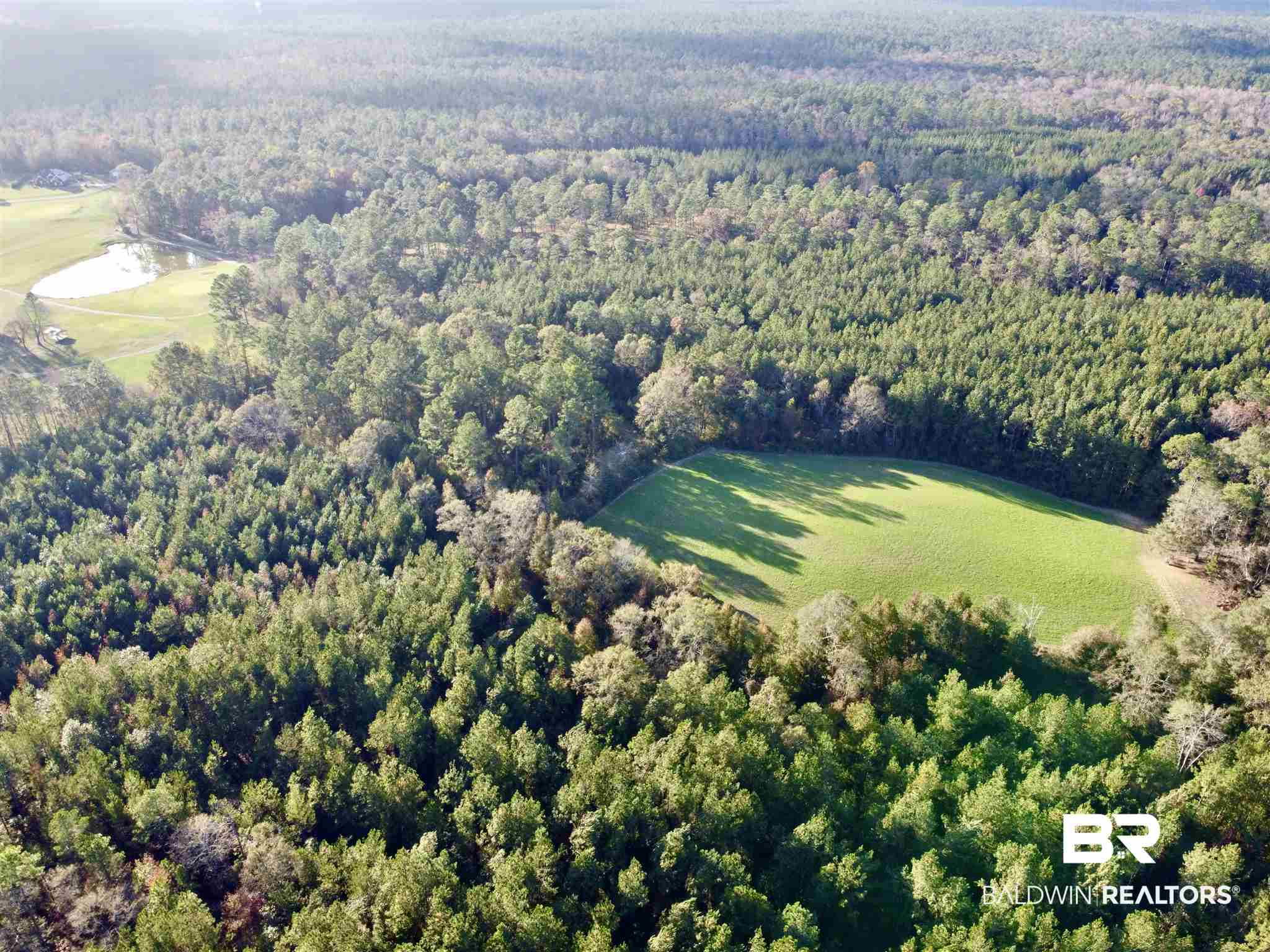 0 Whitetail Run Chatom, AL 36518 - Photo 5 of 29