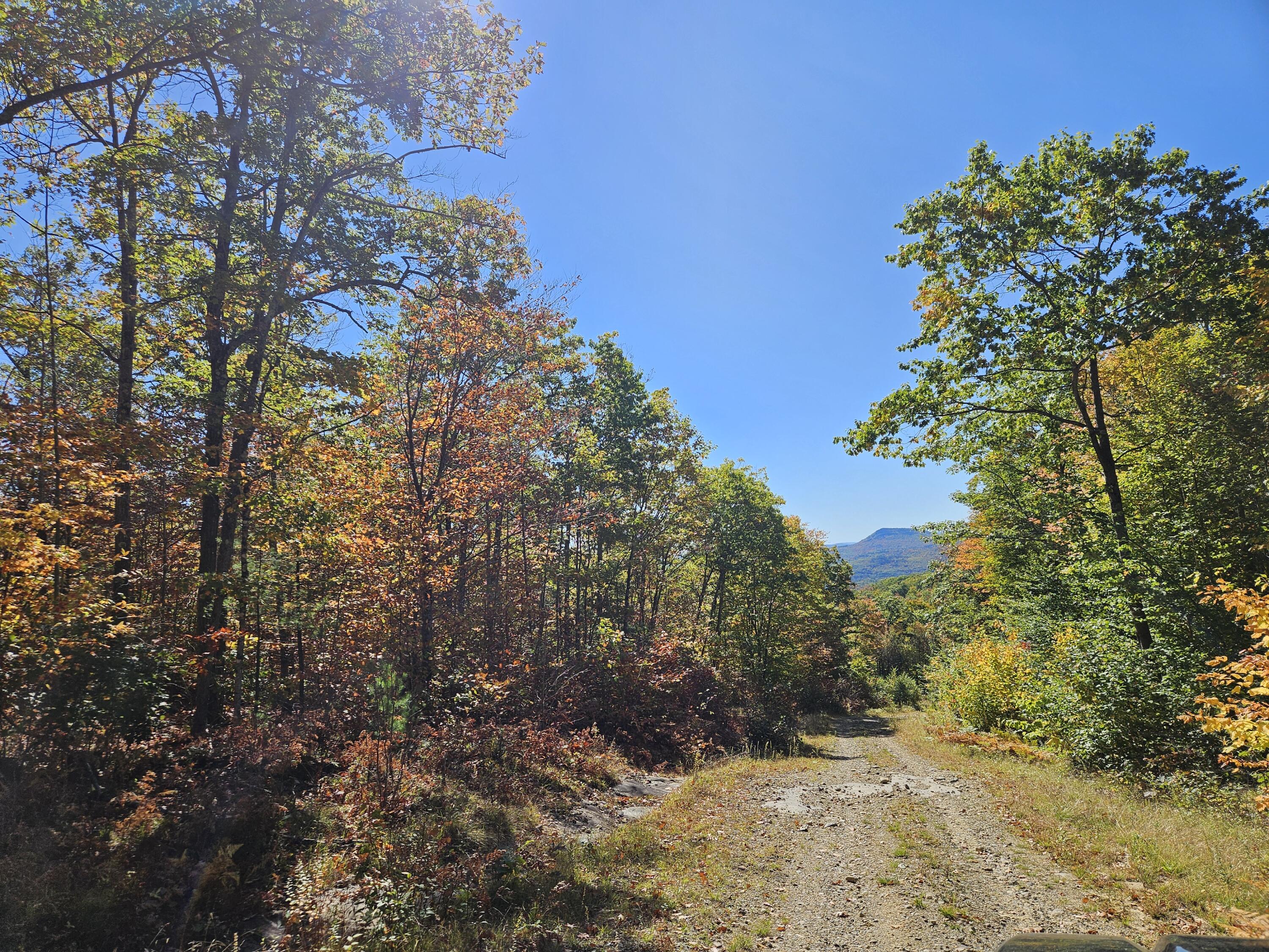 0 Canton Mountain Road Canton, ME 04221 - Photo 58 of 93