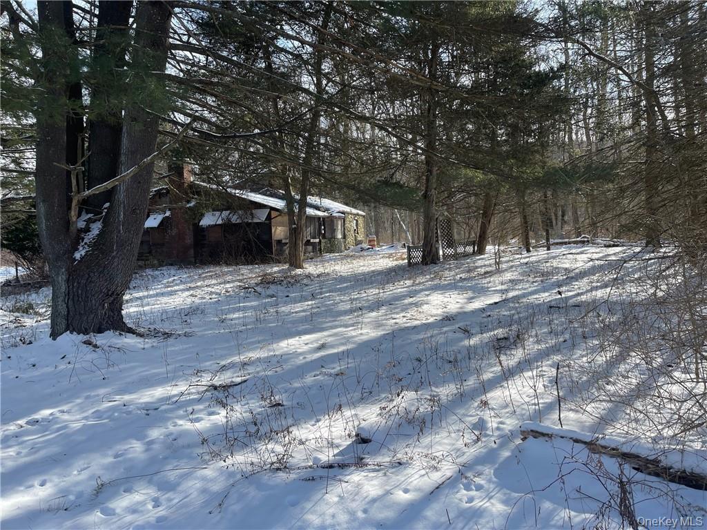 88 Velie Road LaGrangeville, NY 12540 - Photo 3 of 4 a house with trees in front of it