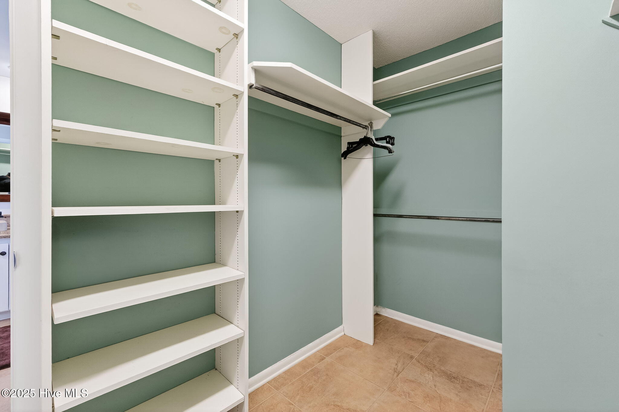 329 Ditchbank Road Goldsboro, NC 27534 - Photo 35 of 73 Primary Owner's Closet