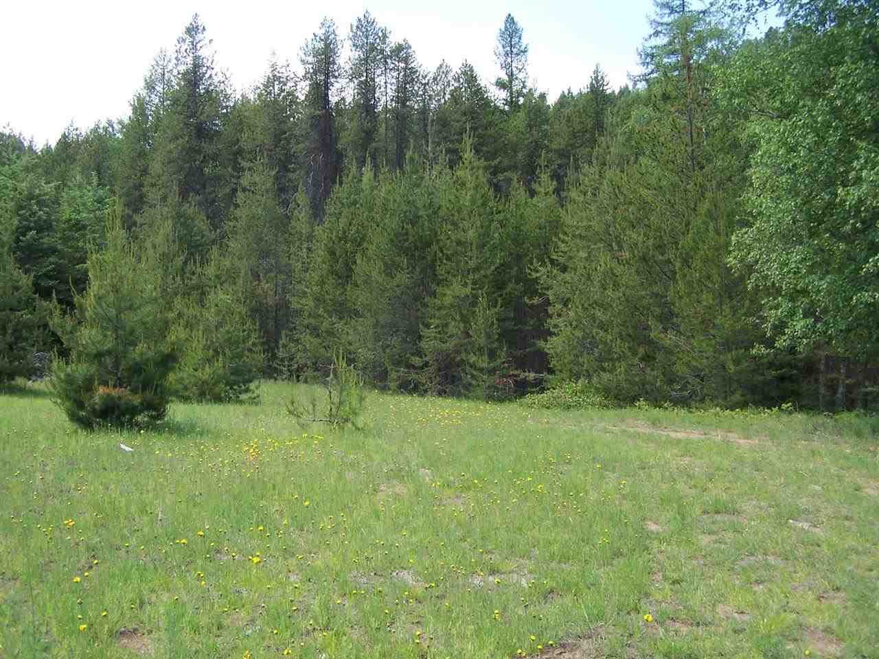 388992 State Rte 20 Cusick, WA 99119 - Photo 19 of 20