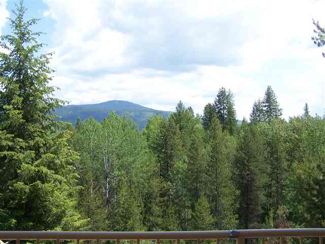 388992 State Rte 20 Cusick, WA 99119 - Photo 9 of 20