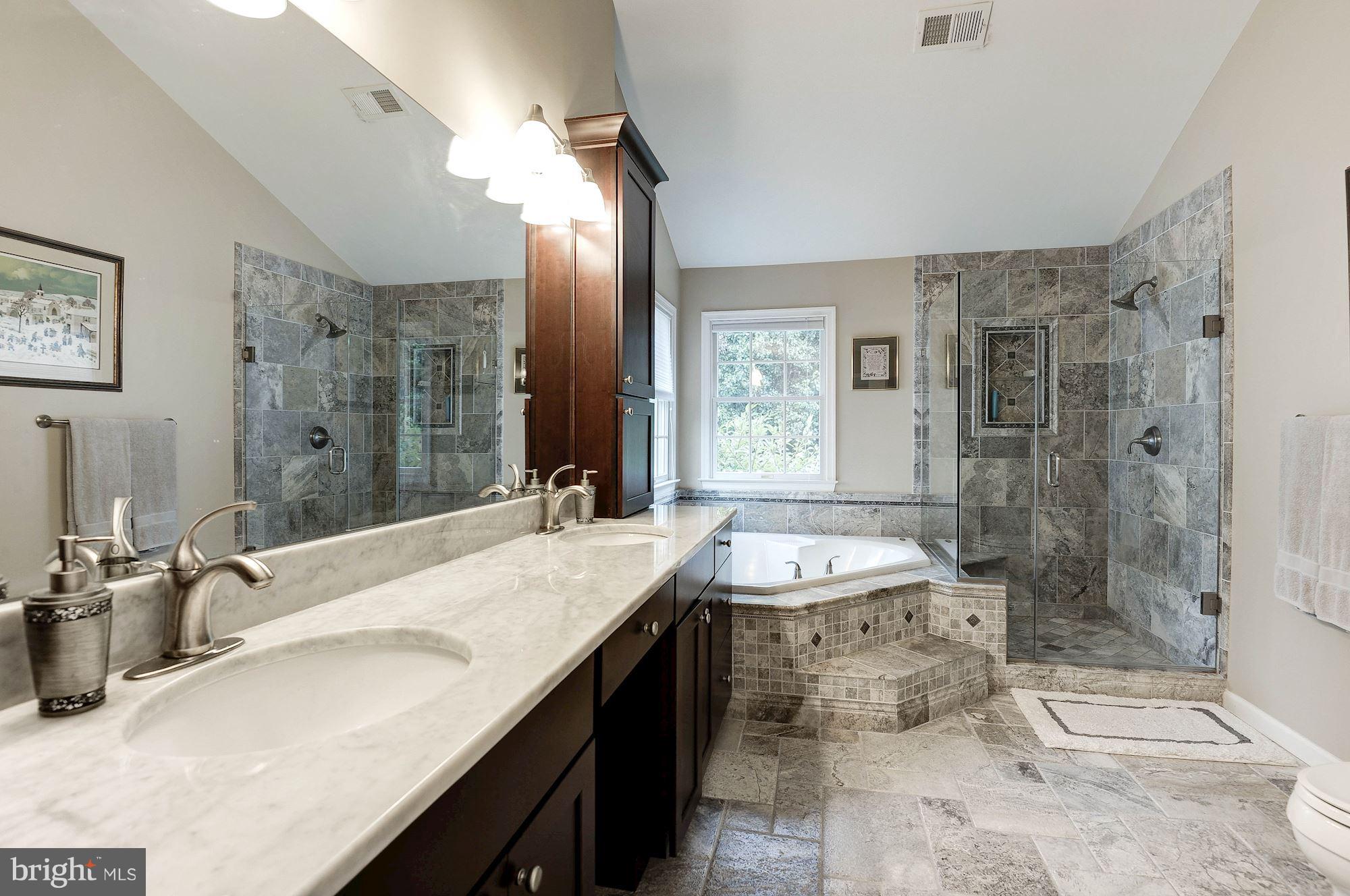 1328 Murray Downs Way Reston, VA 20194 - Photo 18 of 30 a bathroom with a granite countertop sink a toilet a mirror and shower