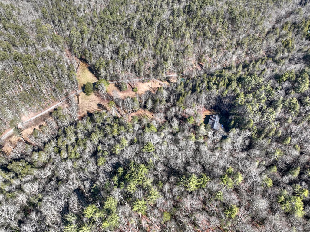 7233 Shakerag Road Ellijay, GA 30540 - Photo 100 of 121