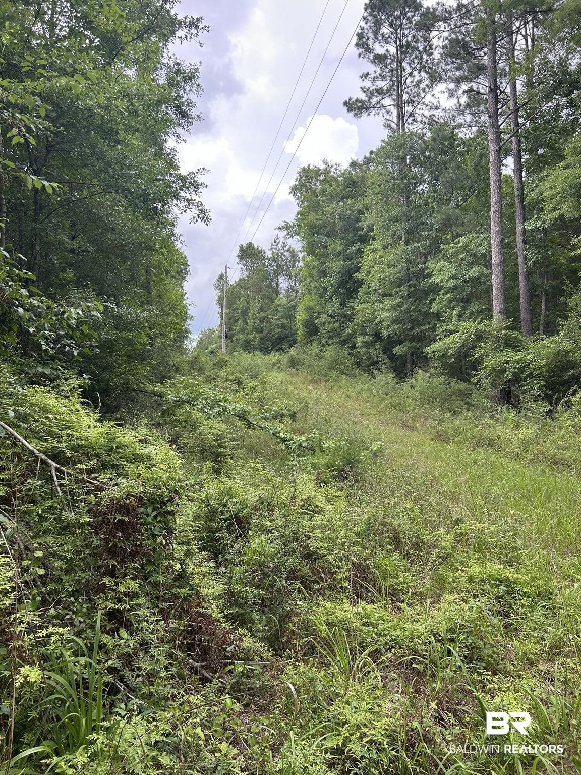 37 Brewton Al Wing, AL 36483 - Photo 4 of 4