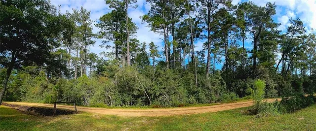 $96,000 | 40253 Nicole Elizabeth Drive, Franklinton, LA 70438