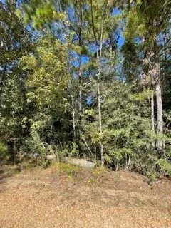 $96,000 | 40253 Nicole Elizabeth Drive, Franklinton, LA 70438